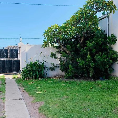 Palm Heaven B&B East London Bagian luar foto