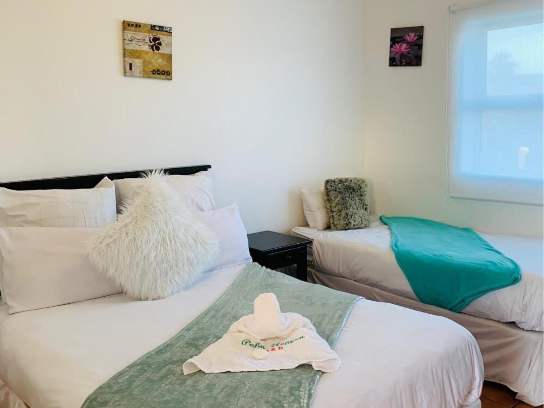 Palm Heaven B&B East London Bagian luar foto